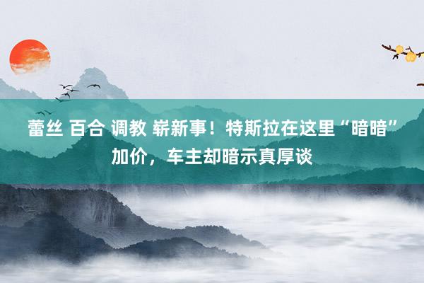 蕾丝 百合 调教 崭新事!特斯拉在这里“暗暗”加价,车主却暗示真厚谈