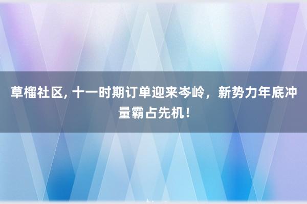 草榴社区, 十一时期订单迎来岑岭,新势力年底冲量霸占先机!