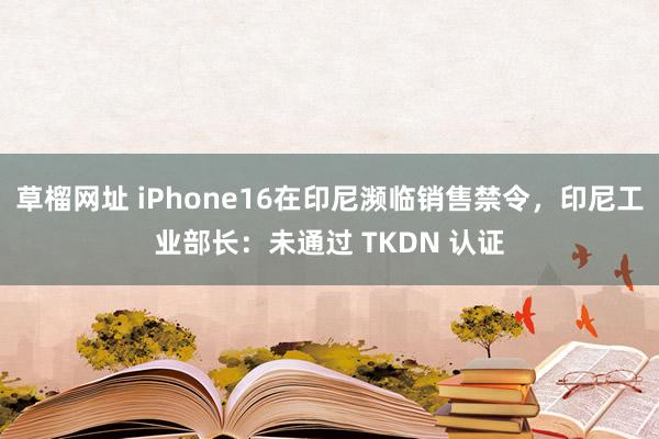 草榴网址 iPhone16在印尼濒临销售禁令,印尼工业部长:未通过 TKDN 认证