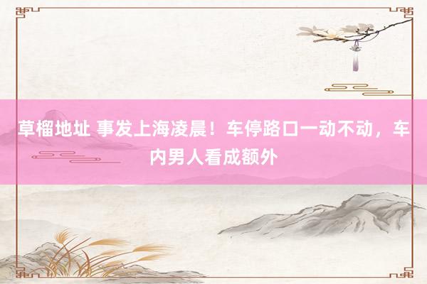 草榴地址 事发上海凌晨！车停路口一动不动，车内男人看成额外