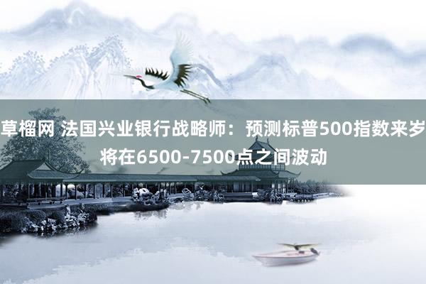 草榴网 法国兴业银行战略师：预测标普500指数来岁将在6500-7500点之间波动