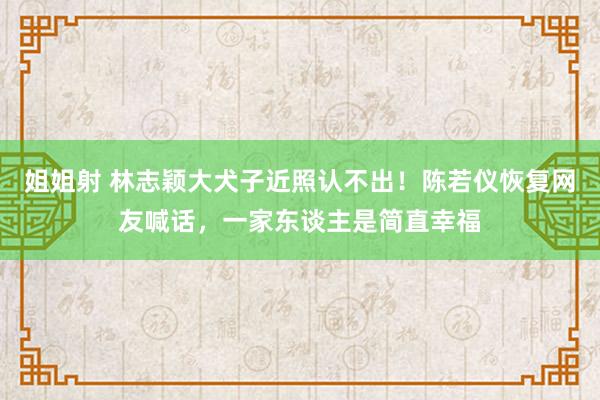 姐姐射 林志颖大犬子近照认不出!陈若仪恢复网友喊话,一家东谈主是简直幸福