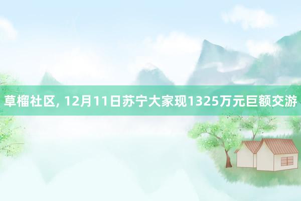 草榴社区, 12月11日苏宁大家现1325万元巨额交游
