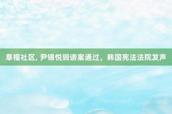 草榴社区， 尹锡悦毁谤案通过，韩国宪法法院发声