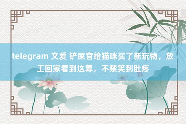 telegram 文爱 铲屎官给猫咪买了新玩物，放工回家看到这幕，不禁笑到肚疼