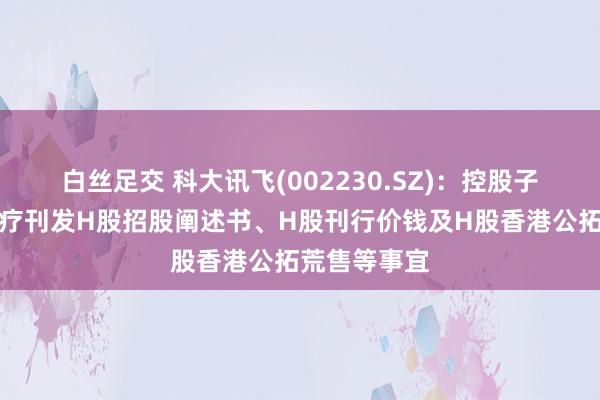 白丝足交 科大讯飞(002230.SZ):控股子公司讯飞医疗刊发H股招股阐述书、H股刊行价钱及H股香港公拓荒售等事宜