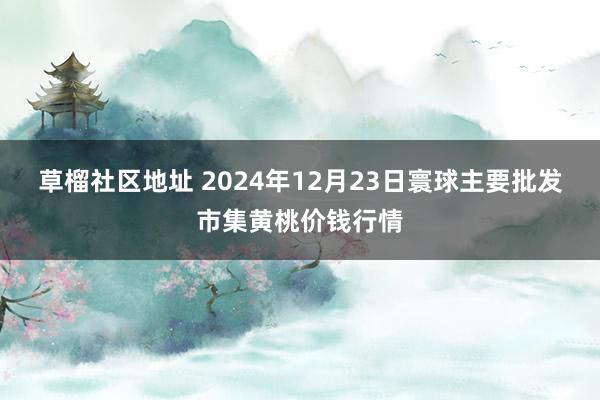 草榴社区地址 2024年12月23日寰球主要批发市集黄桃价钱行情