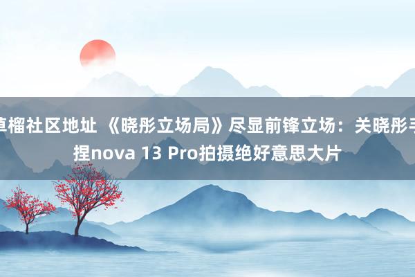 草榴社区地址 《晓彤立场局》尽显前锋立场:关晓彤手捏nova 13 Pro拍摄绝好意思大片