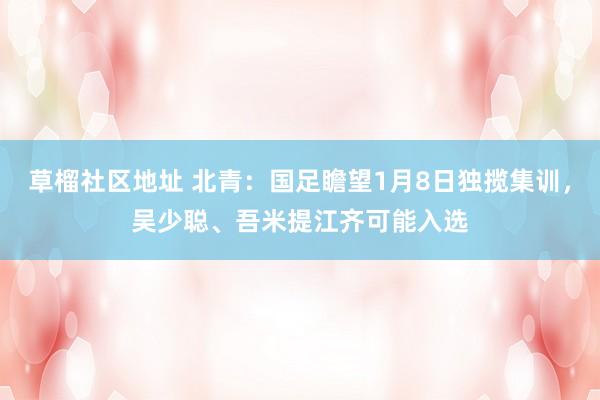 草榴社区地址 北青：国足瞻望1月8日独揽集训，吴少聪、吾米提江齐可能入选