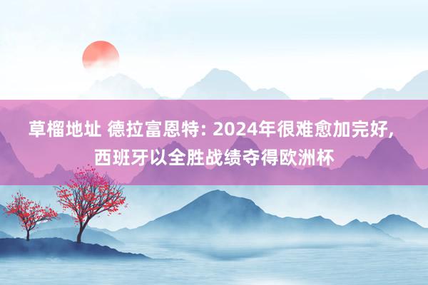 草榴地址 德拉富恩特: 2024年很难愈加完好, 西班牙以全胜战绩夺得欧洲杯