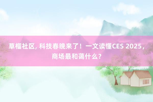 草榴社区， 科技春晚来了！一文读懂CES 2025，商场最和蔼什么？