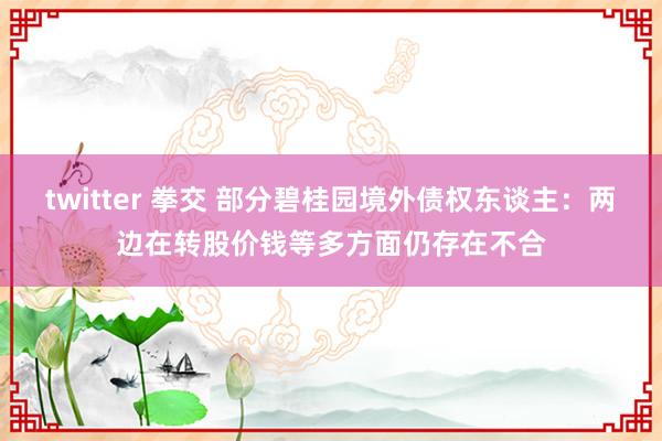 twitter 拳交 部分碧桂园境外债权东谈主：两边在转股价钱等多方面仍存在不合