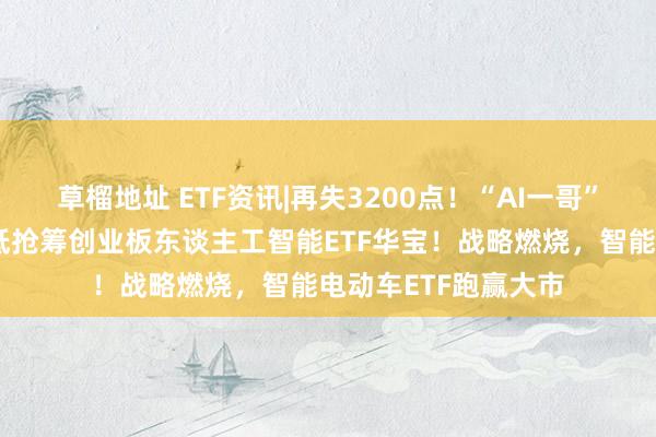 草榴地址 ETF资讯|再失3200点！“AI一哥”逆市独舞，资金逢低抢筹创业板东谈主工智能ETF华宝！战略燃烧，智能电动车ETF跑赢大市