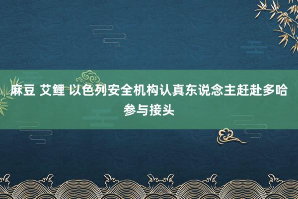 麻豆 艾鲤 以色列安全机构认真东说念主赶赴多哈参与接头
