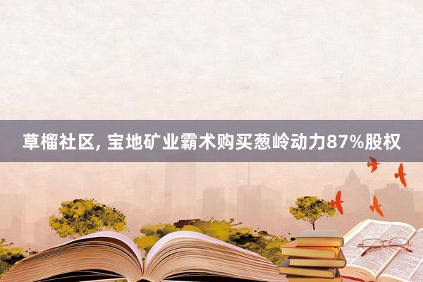 草榴社区, 宝地矿业霸术购买葱岭动力87%股权