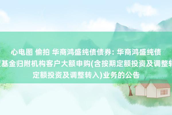 心电图 偷拍 华商鸿盛纯债债券: 华商鸿盛纯债债券型证券投资基金归附机构客户大额申购(含按期定额投资及调整转入)业务的公告