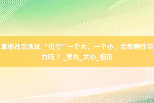 草榴社区地址 “蛋蛋”一个大、一个小,会影响性能力吗 ?_睾丸_大小_相反