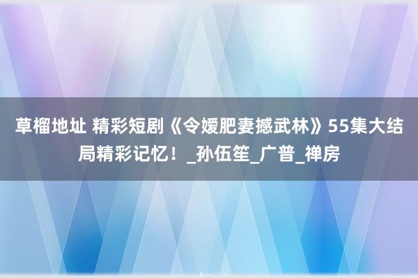 草榴地址 精彩短剧《令嫒肥妻撼武林》55集大结局精彩记忆!_孙伍笙_广普_禅房