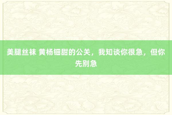 美腿丝袜 黄杨钿甜的公关,我知谈你很急,但你先别急