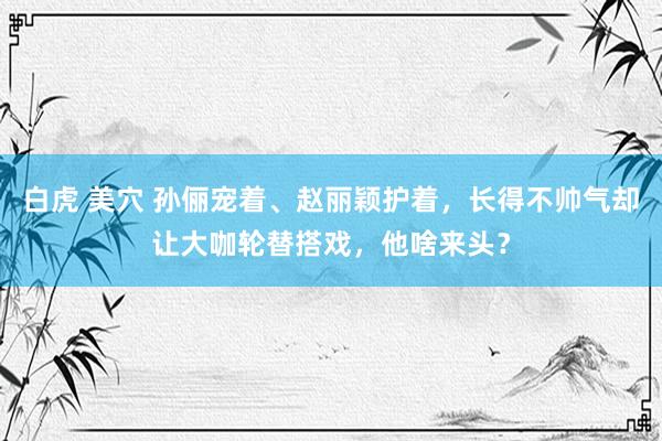 白虎 美穴 孙俪宠着、赵丽颖护着,长得不帅气却让大咖轮替搭戏,他啥来头?